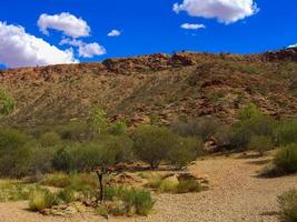 australische Outback-Landschaft. Buschvegetation in der Trockenzeit mit rotem Sand im Wüstenpark bei Alice Springs in der Nähe von Macdonnell Ranges im nördlichen Territorium, Zentralaustralien. foto