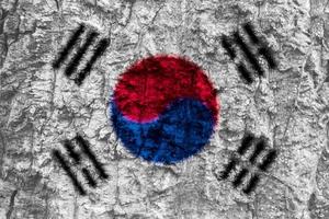 Textur der koreanischen Flagge als Hintergrund foto