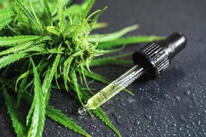 Cannabispflanze und Pipette mit einem cbd-Öl foto