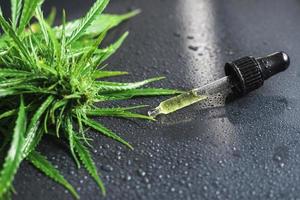 Cannabispflanze und Pipette mit einem cbd-Öl foto