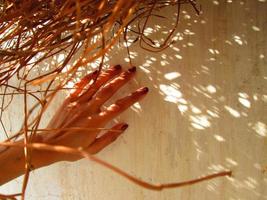 Frauenhand im Sonnenlicht auf einem getrockneten Busch in Karachi Pakistan 2022 foto