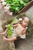 baby liegt in der holzkiste, die mit einem heu gefüllt ist und rosa tulpenblume hält foto