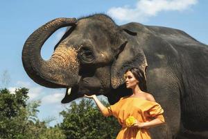 Frau in schönem orangefarbenem Kleid und mächtigem Elefanten foto