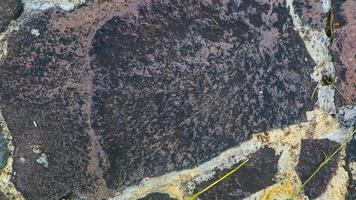 Kopfsteinpflaster als Hintergrund foto