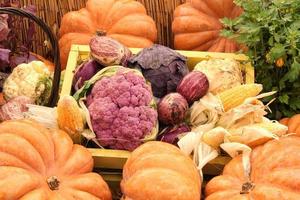 Bio-Kürbis und Gemüse in Holzkiste auf Landwirtschaftsmesse. Ernten des Herbstzeitkonzepts. Garten Herbst natürliche Pflanze. Thanksgiving-Halloween-Dekor. festlicher bauernhof ländlicher hintergrund. veganes Essen. foto