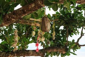 Nahaufnahme des Wunschbaums in Thailand, dekoriert mit traditionellen Opfergaben. foto