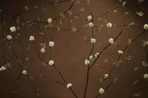 weiße Blüten auf Ästen vor braunem Hintergrund foto