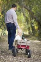 Vater zieht Babymädchen im Wagen mit Weihnachtsbaum foto