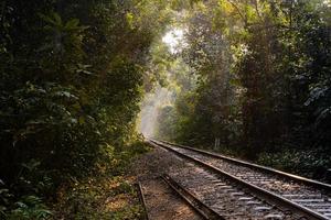 Eisenbahn im Wald foto