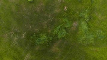Luftaufnahme von Hügeln und Gras foto