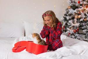 Ein glückliches kleines Mädchen erhielt ein süßes Kätzchen als Geschenk für das neue Jahr. Weihnachtsmorgen. hochwertiges Foto