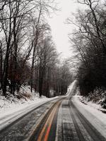 schneebedeckte Straße und Bäume foto