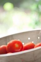 Frische, lebendige Roma-Tomaten im Sieb mit Wassertropfen foto