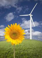 windkraftanlage gegen dramatischen himmel mit heller sonnenblume foto