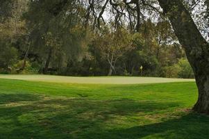 malerischer grasbewachsener Golfplatz grün und Flagge. foto