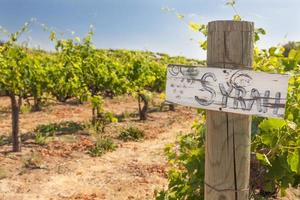 Syrah-Schild auf Holzpfosten in einem Weinberg foto