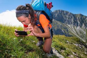 Smartphone an einer geschützten Bergblume. edelweis foto