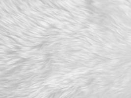 weißer sauberer Wollbeschaffenheitshintergrund. leichte natürliche Schafwolle. weiße nahtlose Baumwolle. Textur aus flauschigem Fell für Designer. Nahaufnahme Fragment weißer Wollteppich... foto
