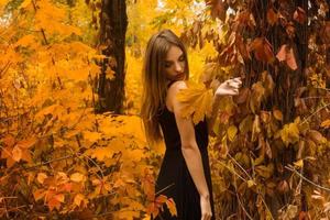 hübsches junges Mädchen im schwarzen Kleid mit Make-up posiert im goldenen Herbstwald foto