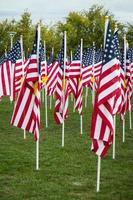 Field of Veterans Day amerikanische Flaggen wehen im Wind. foto