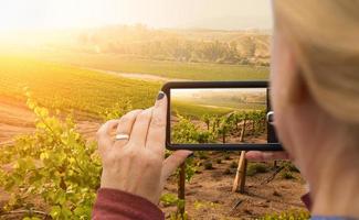 Frau fotografiert mit ihrem Smartphone einen Weingarten foto