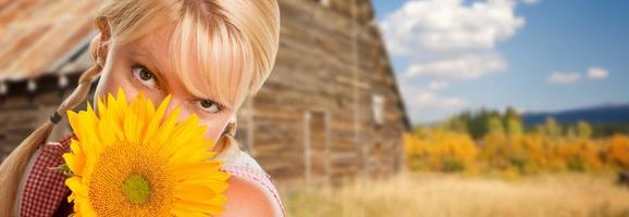 schöne kaukasische junge frau, die sonnenblume vor rustikaler scheune auf dem land hält. foto