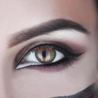 quadratisches Makrofoto des weiblichen Auges mit Make-up foto
