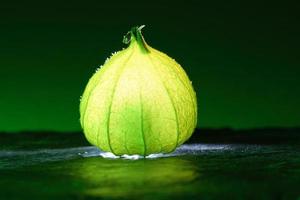 Physalis auf schwarzem nassem Boden mit grünem Hintergrund. beleuchtetes Obst. Vitamin C foto