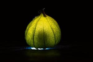 Physalis auf schwarzem nassem Boden. beleuchtetes Obst. Vitamin-C-reiche Frucht. schwarzer Hintergrund foto