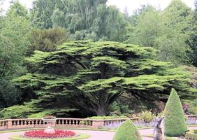 Blick auf einen Garten in Cheshire foto