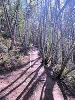 ein blick auf die landschaft von cheshire in der nähe von bickerton foto