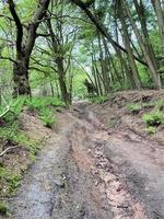 ein blick auf die landschaft von cheshire in der nähe von peckfoton foto