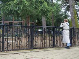 Das Mädchen im Park schaut auf das Telefon. schöner Ort in der Stadt. hinter dem Zaun im Zoo foto