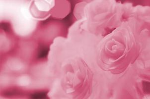Detailfoto eines wunderschönen Hochzeitsblumenstraußes. traditionelles und obligatorisches geschenk des bräutigams am hochzeitstag bild getönt in viva magenta, der farbe des jahres foto