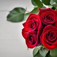 Rose. Rosenhintergrund. Rosenstrauß. konzept von valentinstag, hochzeit, neujahr, weihnachten und anderen feiertagen, webposter, grußkarte. foto