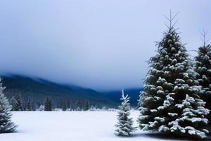 schöner Winterhintergrund mit Schnee. neujahr, weihnachten und andere feiertage, webposter, grußkarte. foto