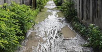 Feldweg mit Reifenspuren foto