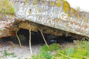 Alte zerbrochene Ziegelruine in der Natur Insel Langlütjen Deutschland. foto