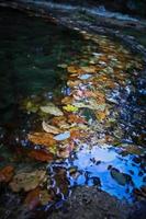 Schließen Sie herauf Herbstblätter im flachen Flusskonzeptfoto foto