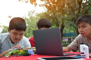 junge asiatische jungen, die hausaufgaben machen, nach informationen suchen und die berichte über verschiedene arten tropischer wälder erstellen, indem sie laptops, lupen, notizbücher, taschenferngläser und tabletten verwenden, weicher fokus. foto