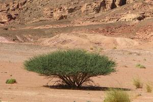 der negev ist eine wüste im nahen osten im süden israels. foto