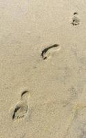 fußabdruck fußspuren auf dem strandsand am wasser mexiko. foto