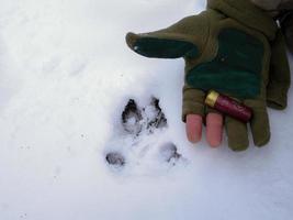 Ein Jäger verfolgt ein Tier im Schnee foto