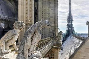 die berühmte notre dame de paris, kathedrale in frankreich. foto