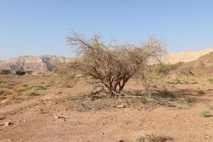 der negev ist eine wüste im nahen osten im süden israels. foto