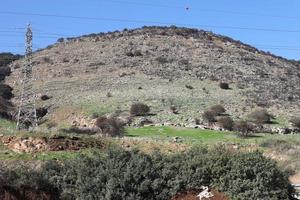 Landschaft in den Bergen im Norden Israels. foto