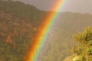 Regenbogen am Himmel über dem Wald. foto