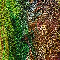 abstrakter Leoparden-Design-Hintergrund, bunte Tierhaut-Textur, textiler Leoparden-Design-Stoff foto