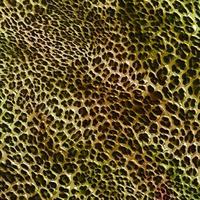 abstrakter Leoparden-Design-Hintergrund, bunte Tierhaut-Textur, textiler Leoparden-Design-Stoff foto