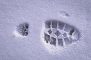 Stiefelabdruck im Schnee foto